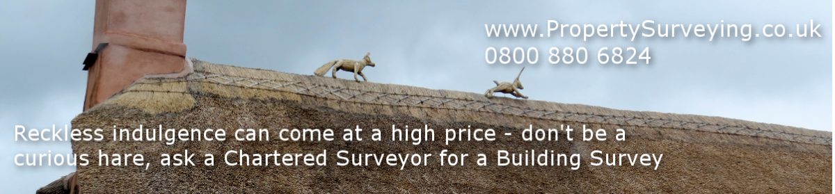 Property Surveying Newsletter