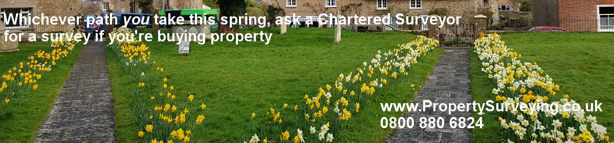 Property Surveying NEWSLETTER