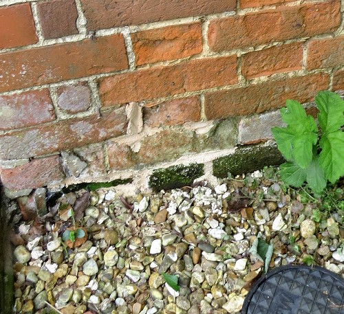 lower outside wall of an old property, where rising moisture and unsuitable portland cement pointing has caused brick spalling