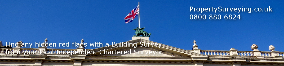 Property Surveying NEWSLETTER