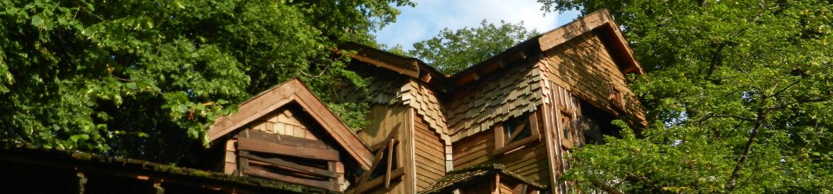 tree house built in trees