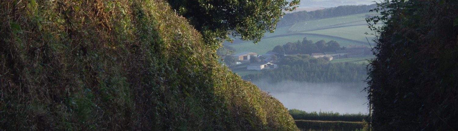 Umberleigh valley view