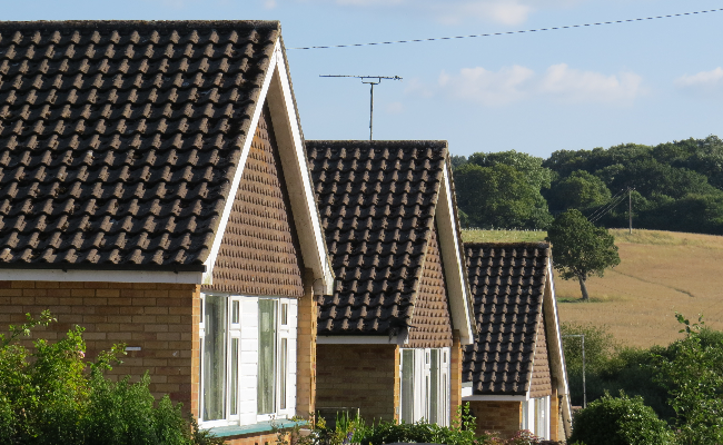 Bere Regis Bungalows in a row