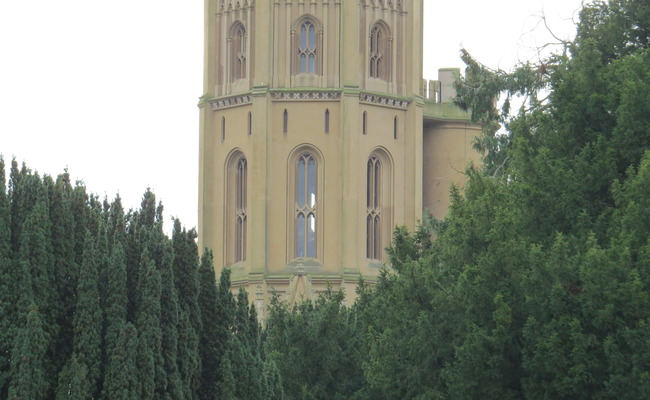 Hadlow tower view through trees