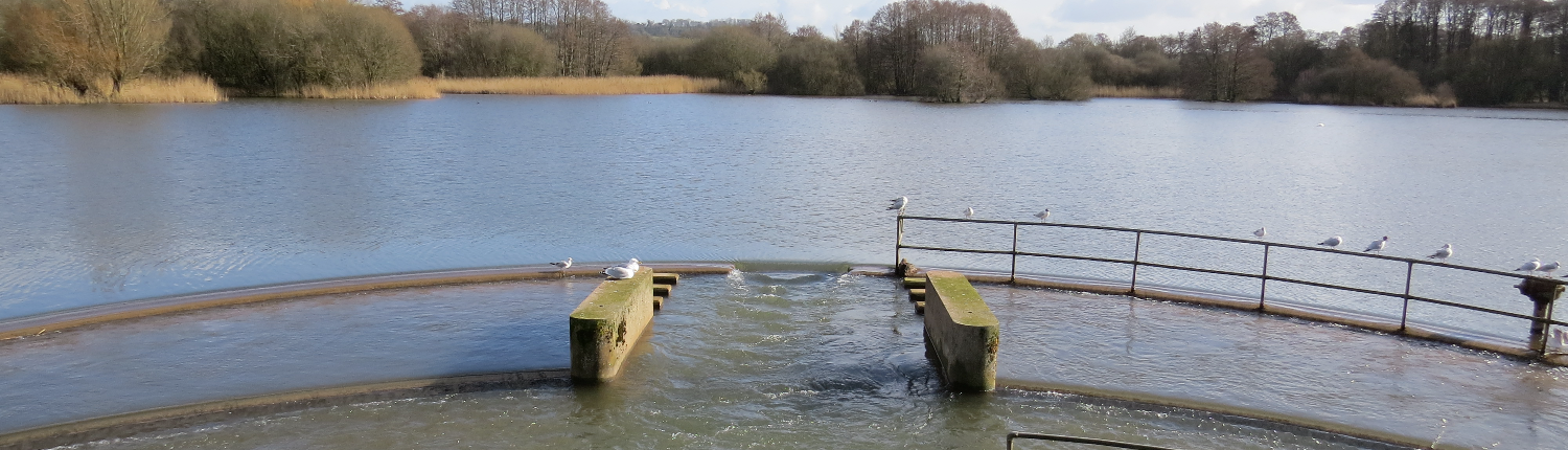 Chew Valley Lake - Reservoir in Chew